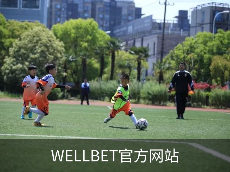 了解WELLBET官方网站